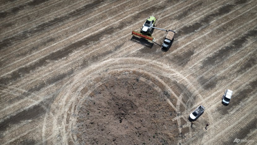 Can Ukraine's grain deal ease the global food crisis? Can Ukraine's grain deal ease the global food crisis?