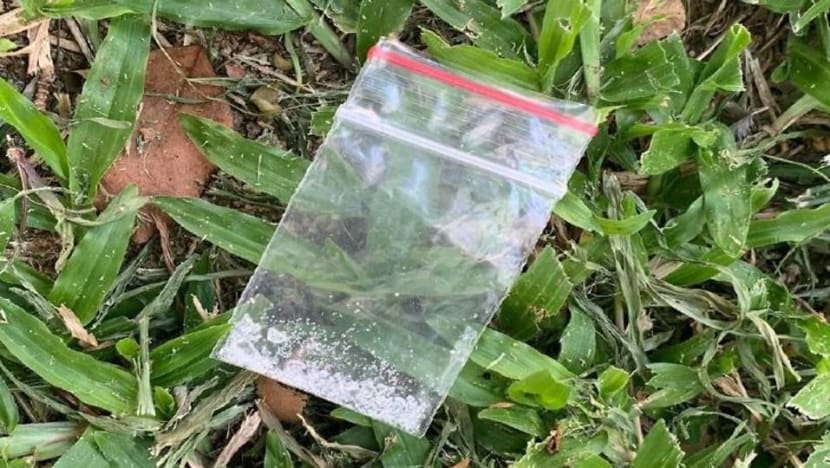 Suspected drug offenders arrested during drug party; youngest suspect aged 13 Suspected drug offenders arrested during drug party; youngest suspect aged 13