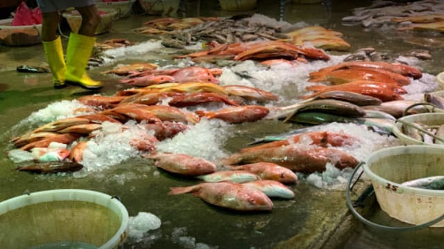 裕廊渔港感染群已波及28个巴刹和熟食中心 病例数目还在增加