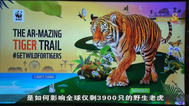 公众明起可在全岛各地找寻33只老虎雕像踪迹