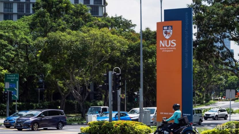 Man admits to stealing bags of laundry from NUS hall to look at female undergarments