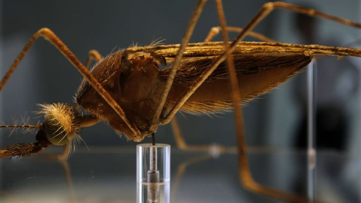 Data vaksin malaria Oxford menjadi pertanda baik bagi upaya memerangi penyakit mematikan