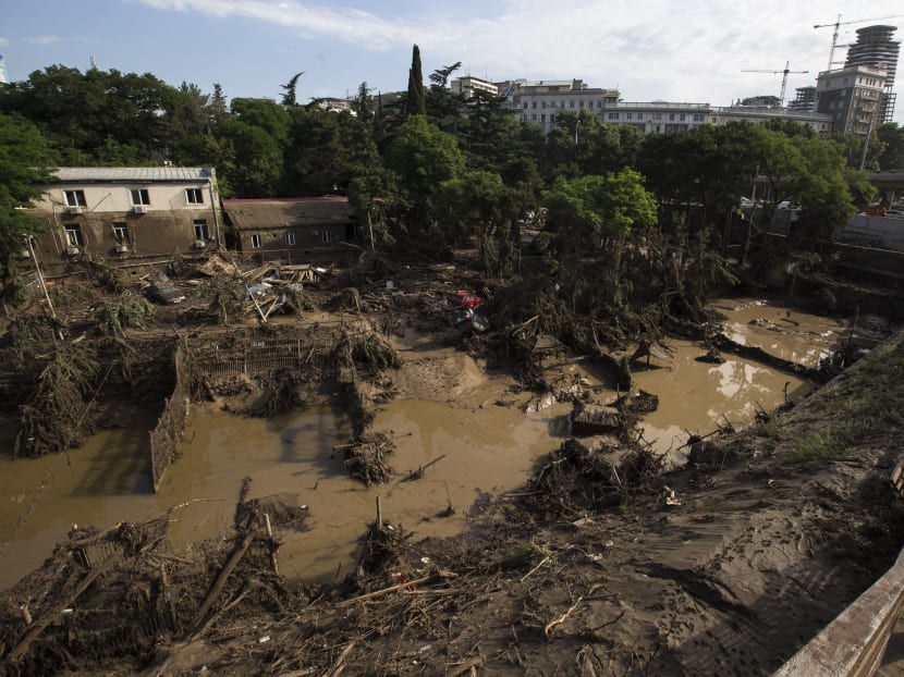 A destroyed flooded zoo area is seen in Tbilisi, Georgia, Monday, June 15, 2015. Rescue workers in the Georgian capital are still searching for at least two dozen people and an undetermined number of potentially dangerous animals missing after severe flooding ravaged the city's zoo. Photo: AP