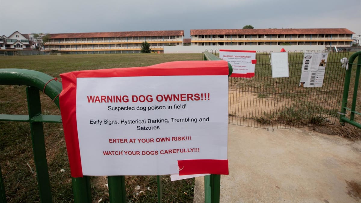 Poisoning 'most likely cause' of dog deaths linked to Parry Avenue field