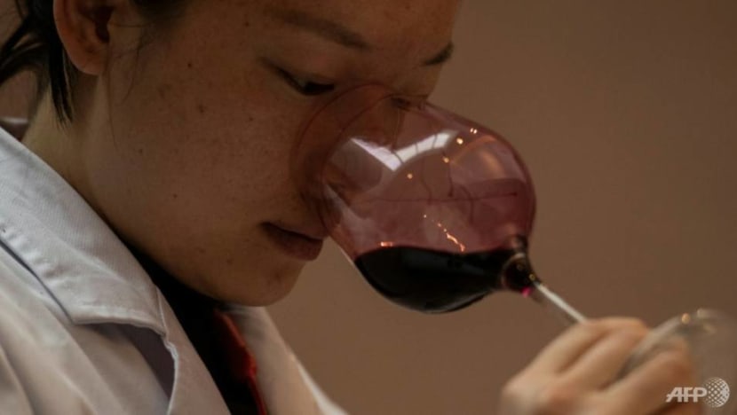 Commentary: Can China produce grape wine as fine as the French? Commentary: Can China produce grape wine as fine as the French?