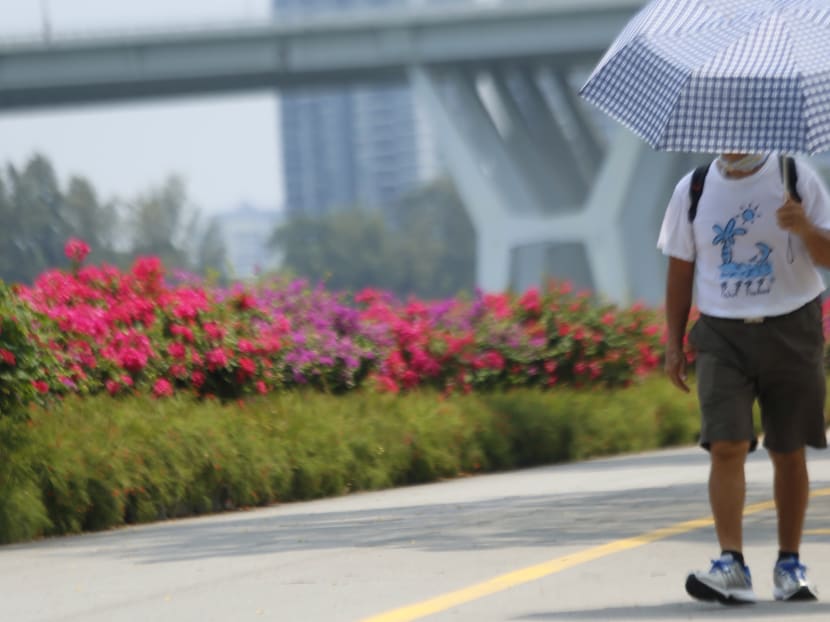 Sunscreen, maybe? Fair and warm conditions expected over CNY period