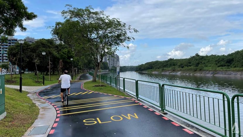Commentary: Banning bicycles from footpaths won’t make poor cycling habits disappear Commentary: Banning bicycles from footpaths won’t make poor cycling habits disappear