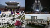taiwan tourist covid test
