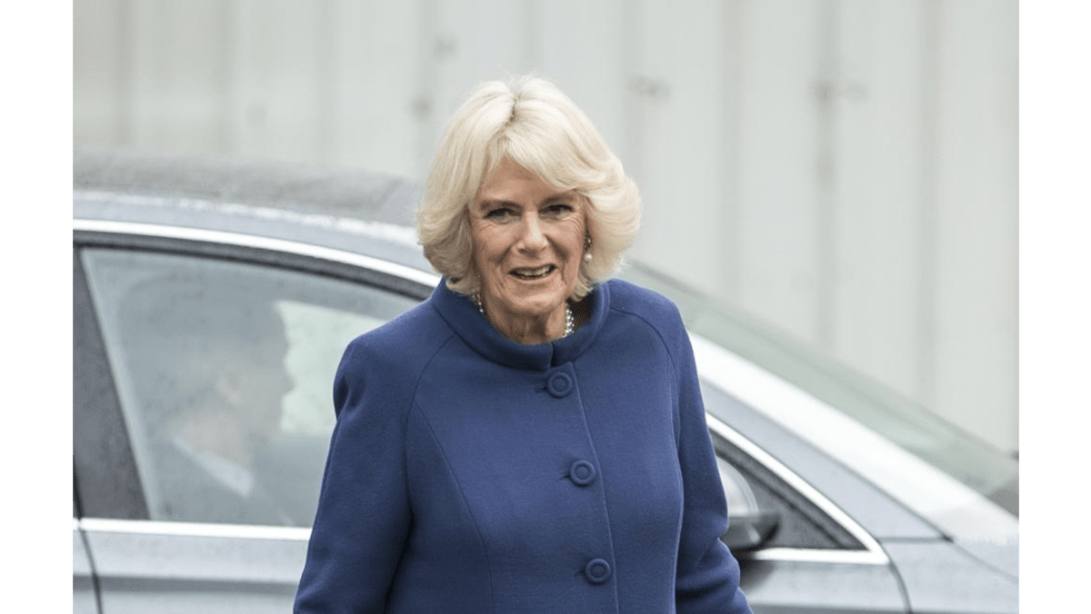 Duchess Camilla gets new portrait for 70th birthday 8days