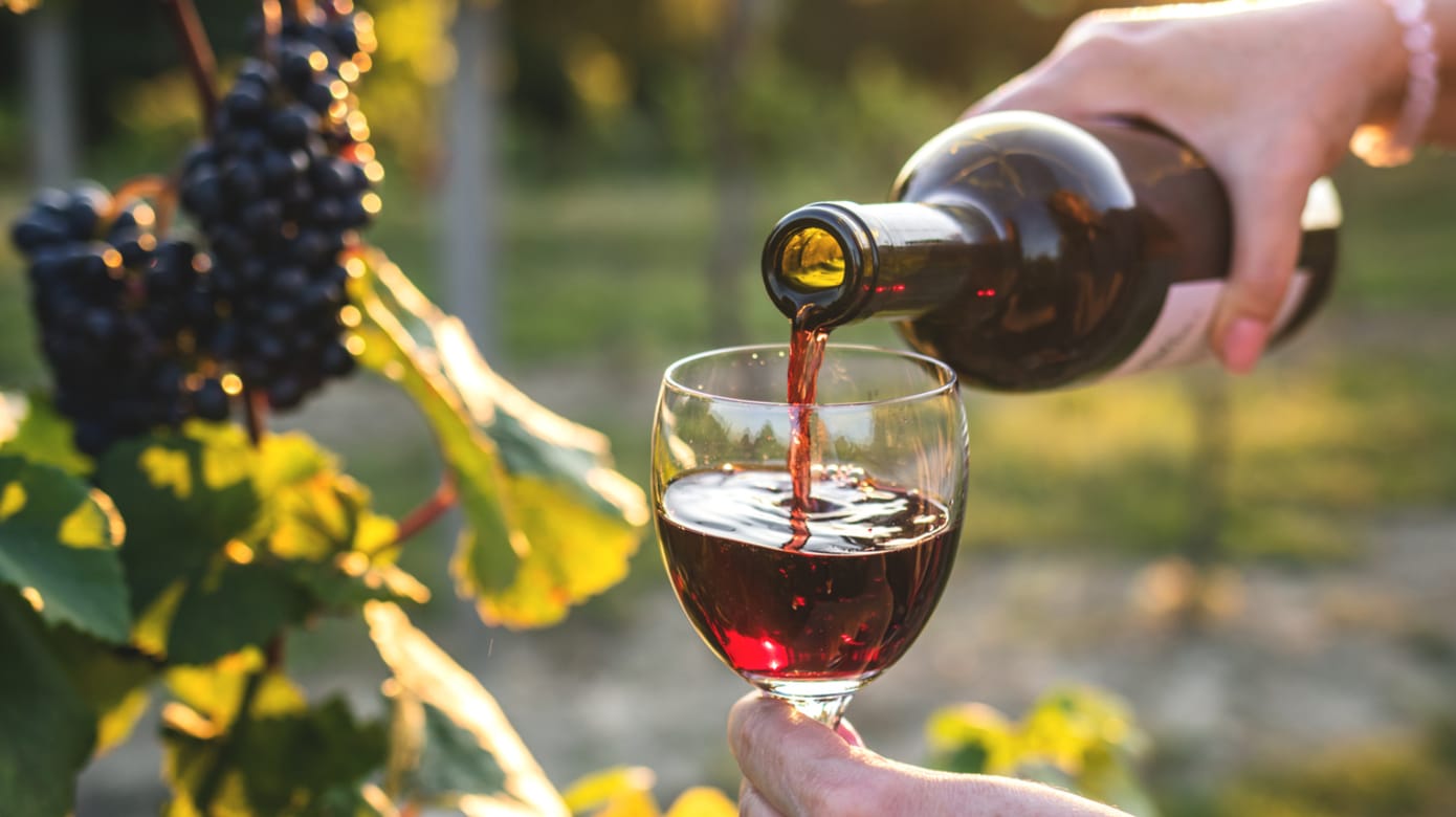 受气候变化影响 去年全球葡萄酒产量减少10%