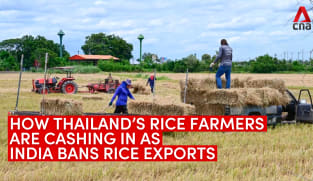 Thailand's rice farmers reap profits amid global price spikes and shortages | Video