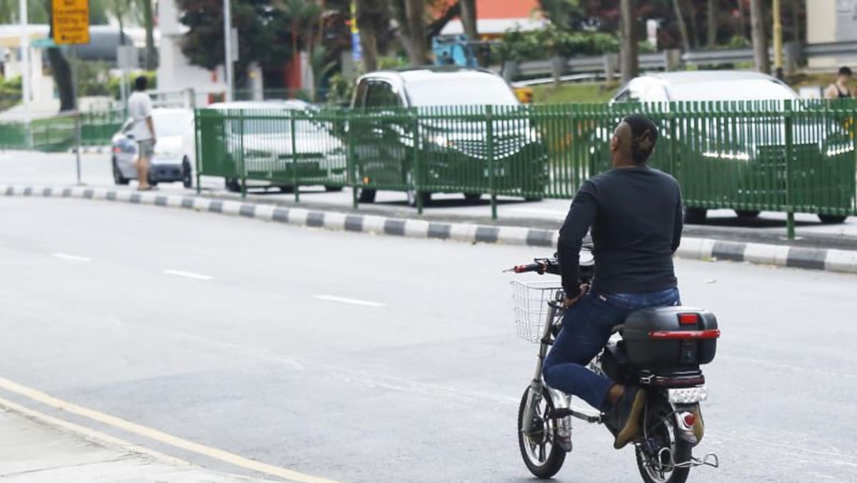 e-bike-owners-must-register-and-install-number-plates-today