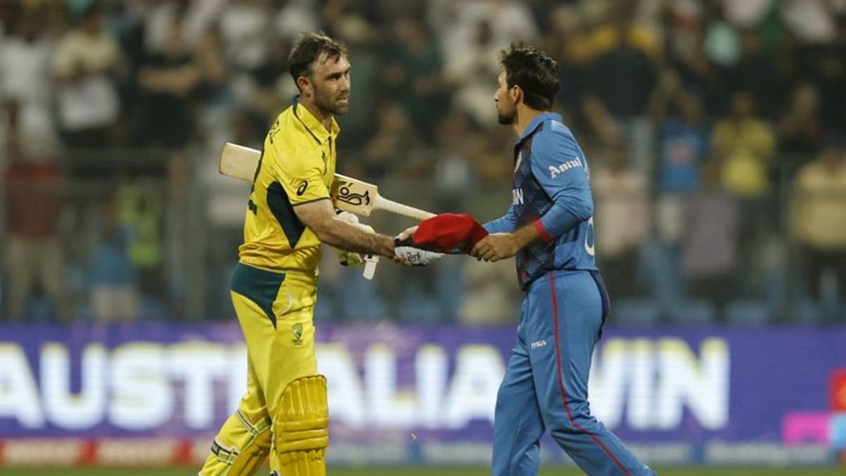 Don’t count Afghanistan out yet, says coach Trott Don’t count Afghanistan out yet, says coach Trott