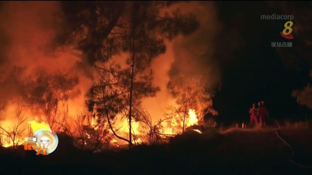 今年欧洲林火烧毁面积创历来第二高纪录