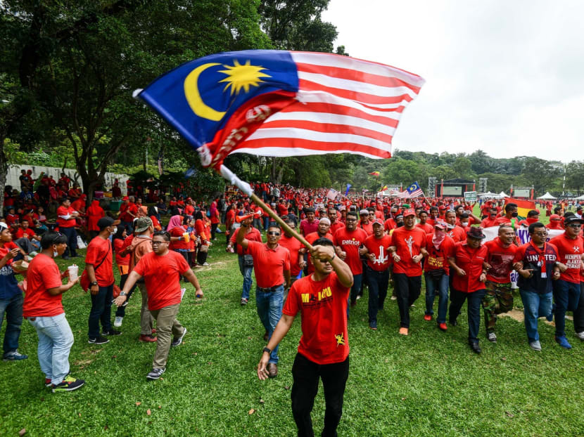 A pro-government 'red shirt' protestor waves the national flag during a rally in Kuala Lumpur, Malaysia on Wednesday, Sept. 16, 2015. Photo: AP