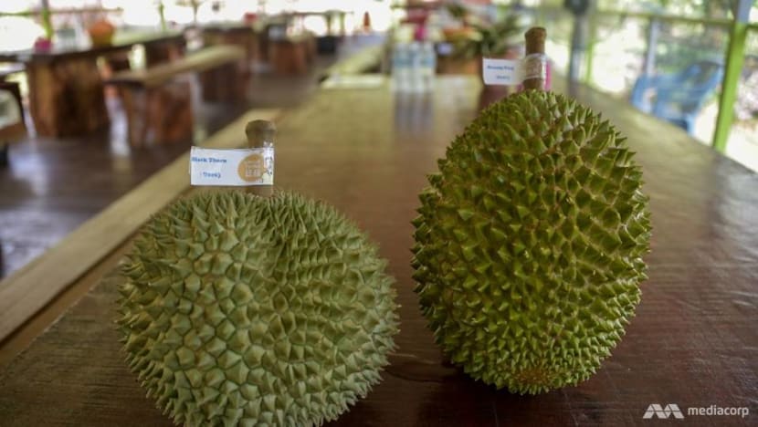 Raub durian dispute: Farmers will make handsome profit at proposed fixed price for Musang King, says state firm Raub durian dispute: Farmers will make handsome profit at proposed fixed price for Musang King, says state firm