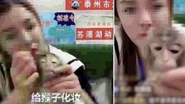 中国女饲养员给猴子画眼妆 遭网民怒批