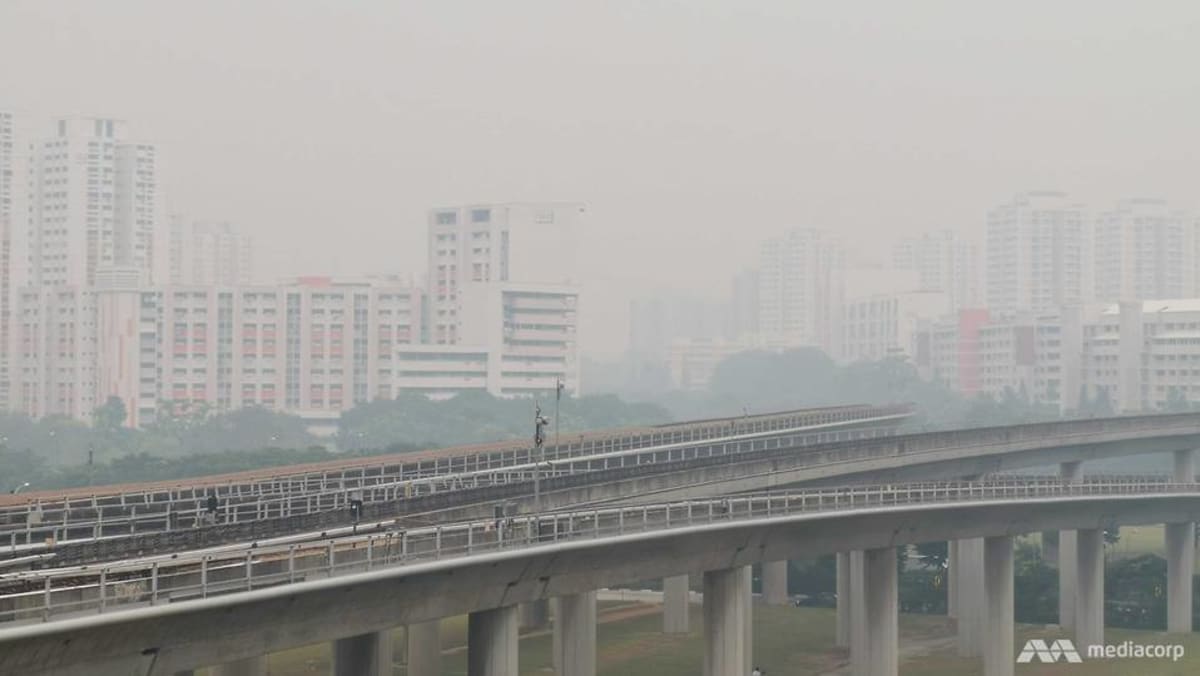 Resiko menengah kembalinya kabut asap ke Asia Tenggara kemungkinan besar tidak separah kejadian-kejadian besar sebelumnya: SIIA