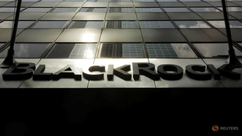 Investors BlackRock, Vanguard join net zero effort
