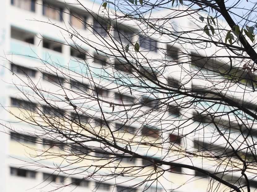Singapore in grip of record dry spell