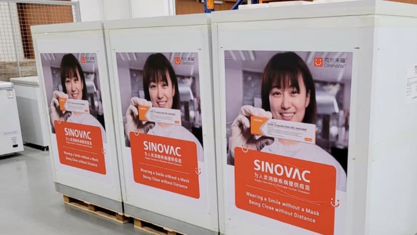More than 100,000 doses of Sinovac COVID-19 vaccine arrive in Singapore