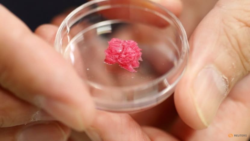 Japanese scientists work up an appetite for lab-grown Wagyu beef Japanese scientists work up an appetite for lab-grown Wagyu beef