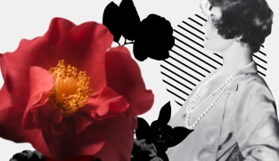 Power of red: Discover how Chanel is using the camellia flower to fight ageing | Interactive