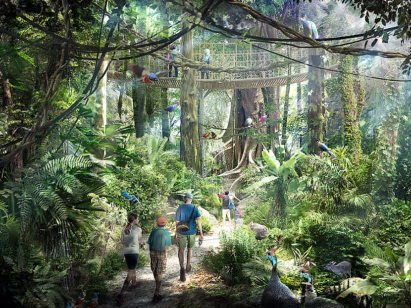 An artist's impression of the rainforest walk at Mandai's integrated nature and wildlife hub. Photo: Mandai Park Holdings