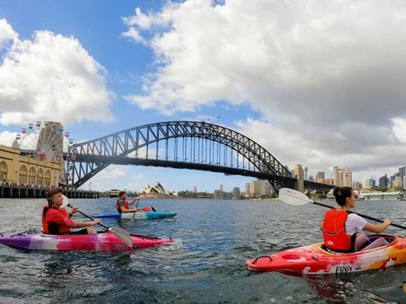 Rubbish collection tour cleans up Sydney Harbour, one kayak at a time Rubbish collection tour cleans up Sydney Harbour, one kayak at a time