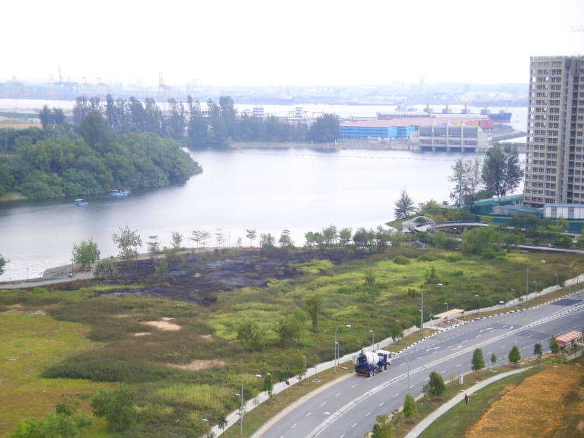 Fire breaks out at Punggol field Fire breaks out at Punggol field