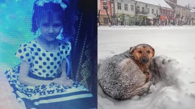 俄罗斯女童暴风雪中失踪 靠抱流浪狗取暖存活