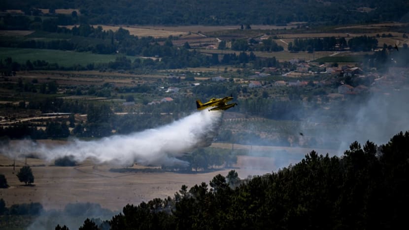 Portugal, Spain struggle to control forest fires Portugal, Spain struggle to control forest fires