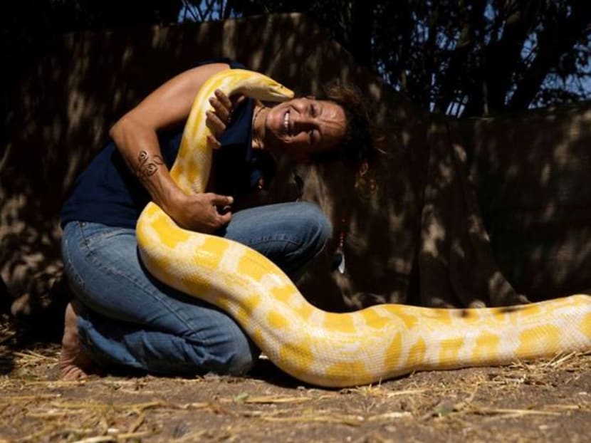 Israeli girl makes a splash with her pet snake Israeli girl makes a splash with her pet snake