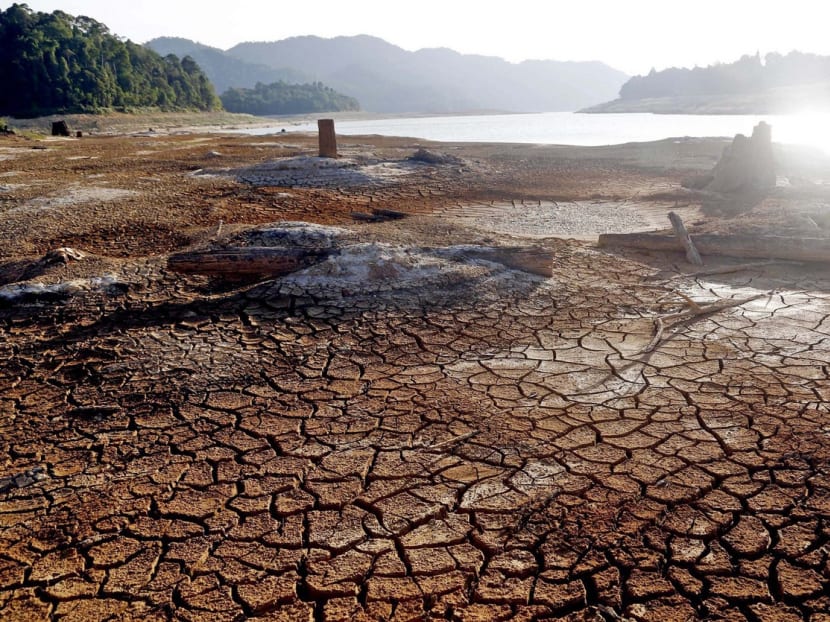 A dry and cracked area near Linggiu Reservoir in Johor, taken in April this year. The writer believes that water as a commodity has been taken for granted as it is readily available from taps, and is safe for drinking and for household use. TODAY file photo