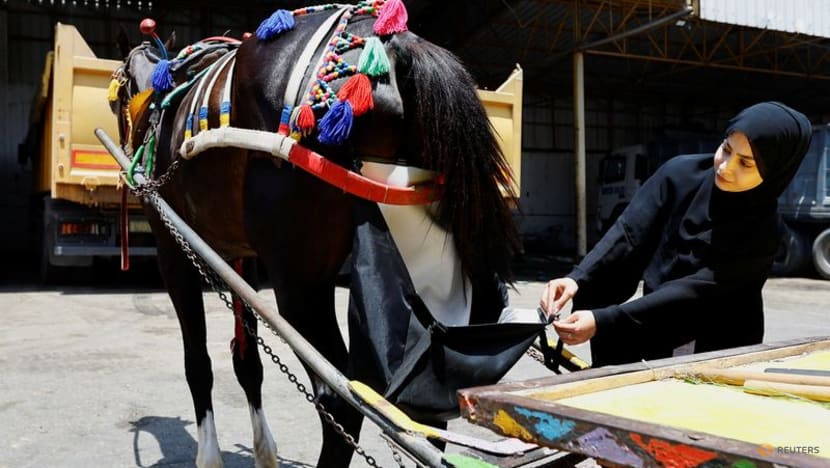 'Horse diapers' keep Gaza streets clean