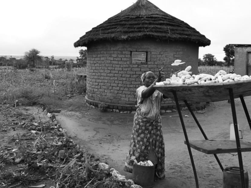 In Africa, more than three-quarters of food waste is incurred well before the kitchen, in inefficient agriculture, because birds and rats eat crops during harvest or pests spoil grain stores. Photo: Reuters