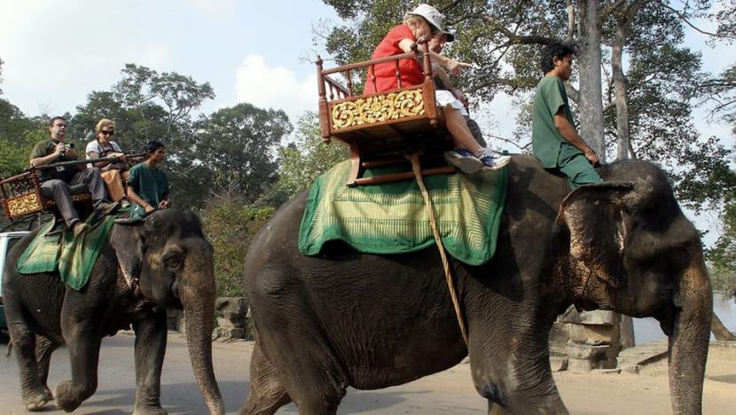 Cambodia to ban elephant rides at Angkor temples Cambodia to ban elephant rides at Angkor temples