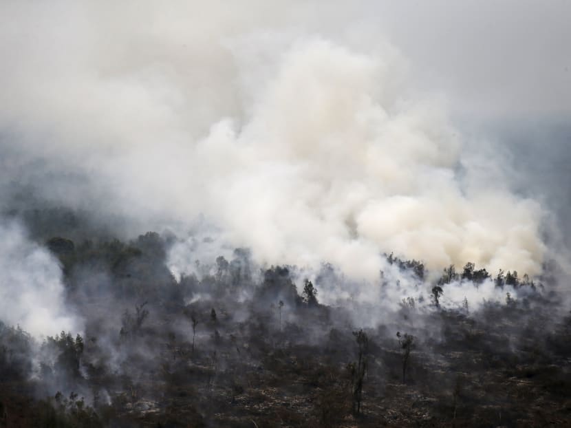Indonesia's hazy skies worsen as forest burning continues