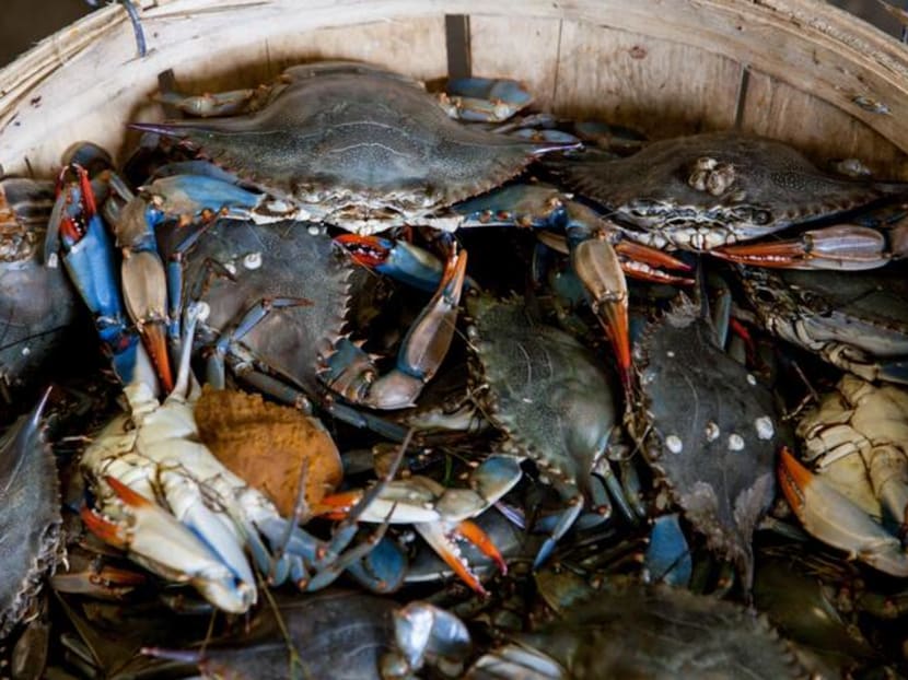 Abdul Karim Mohamad took 11 crabs from a tank near the House of Seafood restaurant at Punggol, the court heard. Abdul Karim Mohamad took 11 crabs from a tank near the House of Seafood restaurant at Punggol, the court heard.