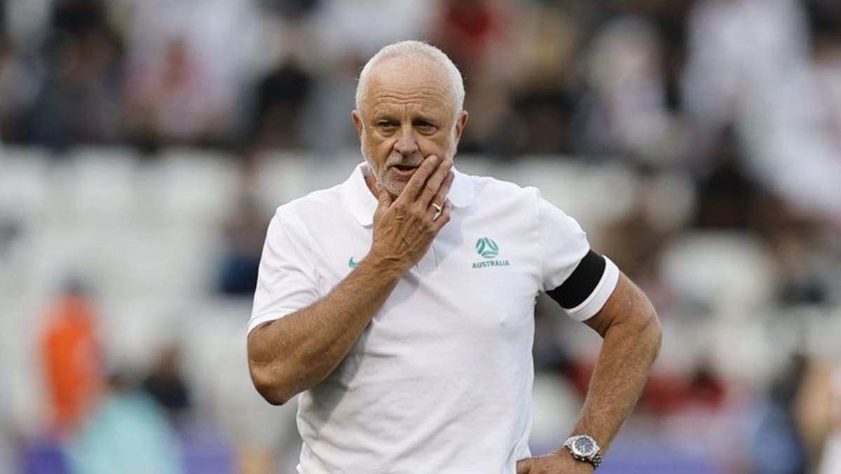 Australia v Indonesia is no David v Goliath battle, says coach Arnold