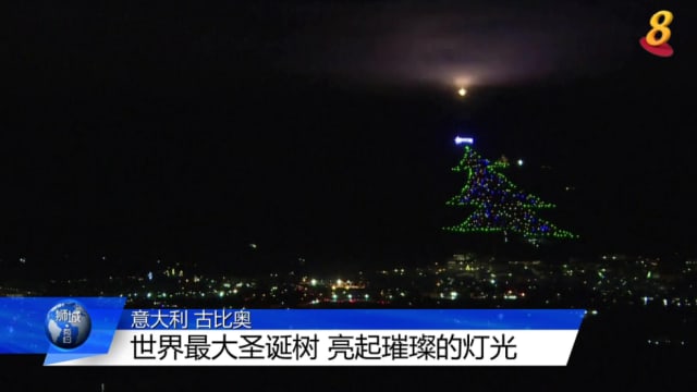 意大利世界最大圣诞树 亮起璀璨的灯光