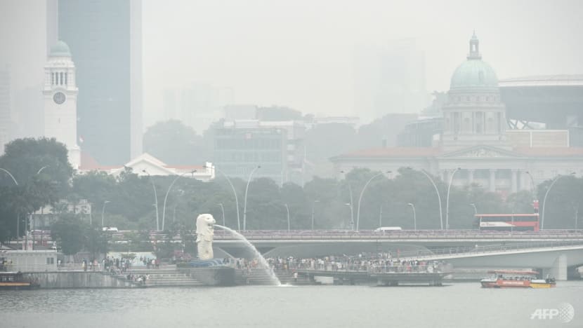 Commentary: As haze season looms, what more can Singapore do to clear the air? Commentary: As haze season looms, what more can Singapore do to clear the air?