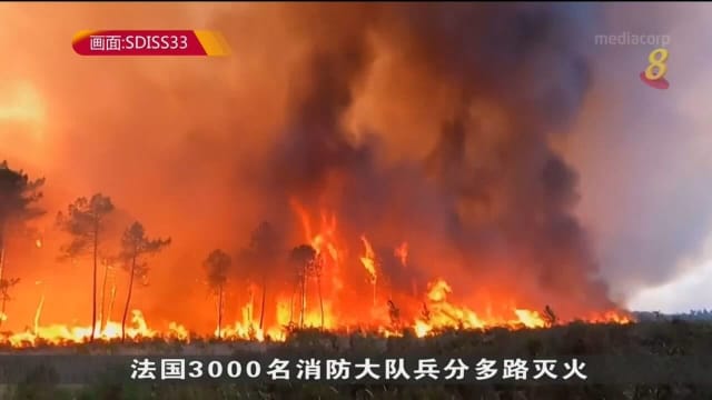 欧洲多地林火狂烧 法国西南部上万公顷面积被烧