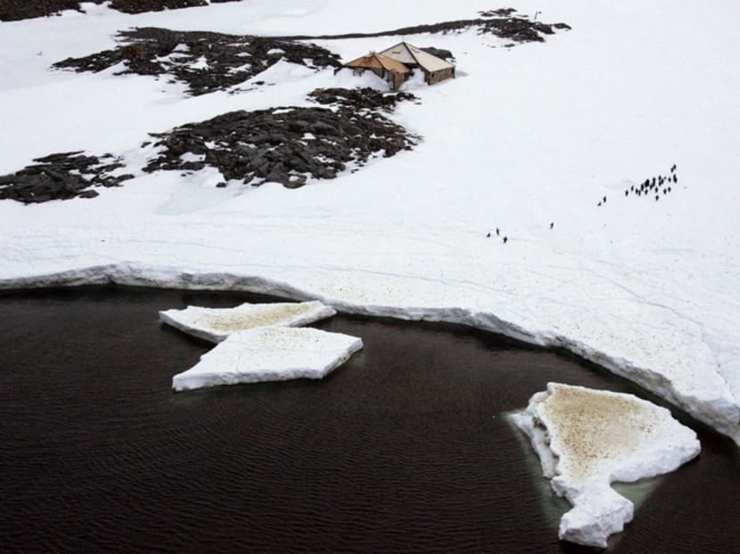 Scientists say the faster pace of sea level rise is from melting ice sheets in Greenland and West Antarctica and shrinking glaciers, triggered by man-made global warming. Photo: REUTERS