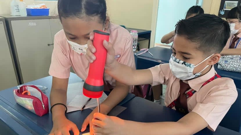 Lebih 500,000 pelajar S'pura bakal terima tokokan S$200 Edusave, PSEA Lebih 500,000 pelajar S'pura bakal terima tokokan S$200 Edusave, PSEA