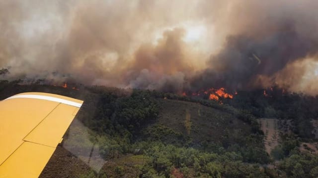 希腊山火持续蔓延 一架协助灭火的飞机在执行任务时坠毁