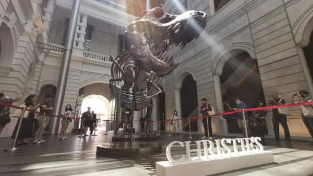 暴龙化石“尚神”香港拍卖被取消 改借博物馆展示