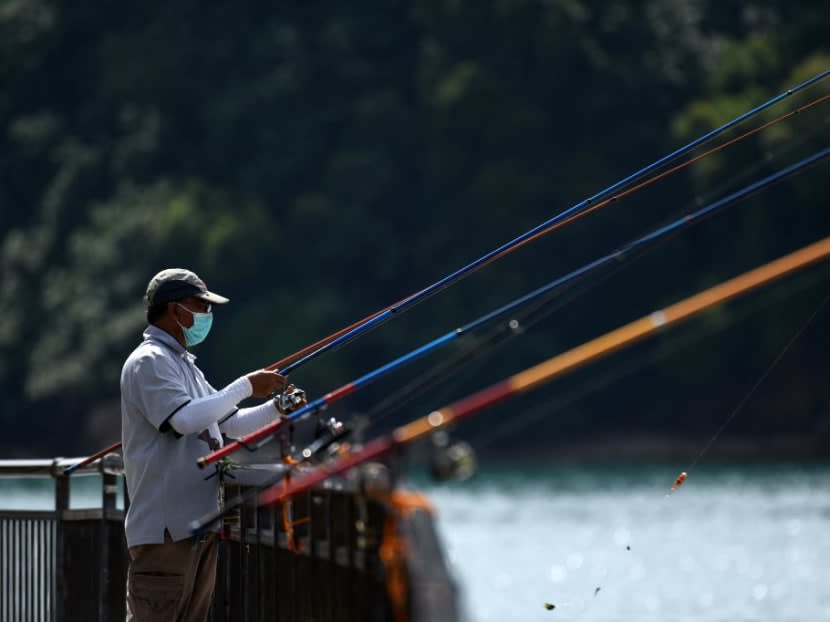 17-year-old apologises to judge for fishing illegally at Bukit Batok Town Park without mask, safe distancing 17-year-old apologises to judge for fishing illegally at Bukit Batok Town Park without mask, safe distancing