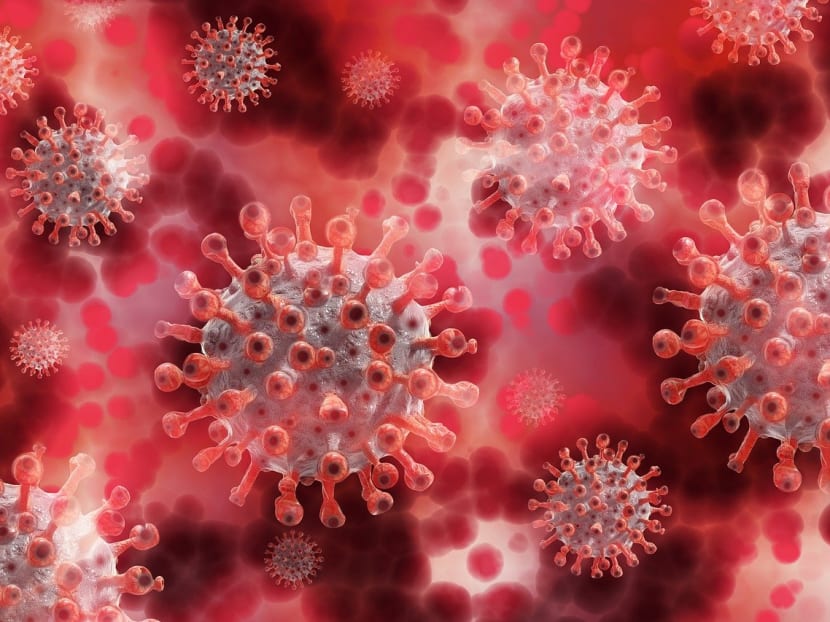 The mutations of the Pirola coronavirus’ spike protein have been relatively high compared to earlier Omicron subvariants such as XBB.1.5.