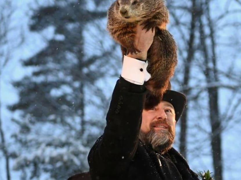 Groundhog predicts more winter for a country that just got a dose of it Groundhog predicts more winter for a country that just got a dose of it